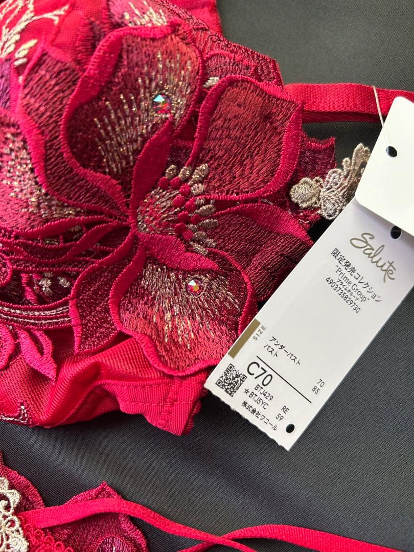 Salute 花柄刺繍 ブラジャーショーツセット C70 M限定発売