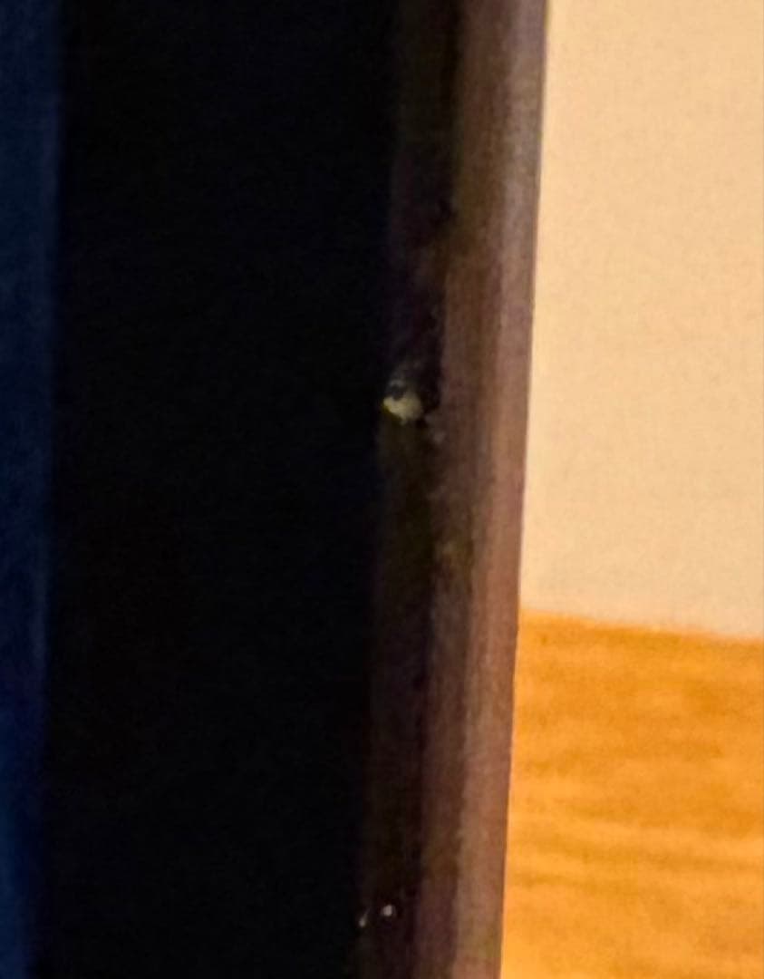 Apple MacBook Air 本体 2020Retina 13inch