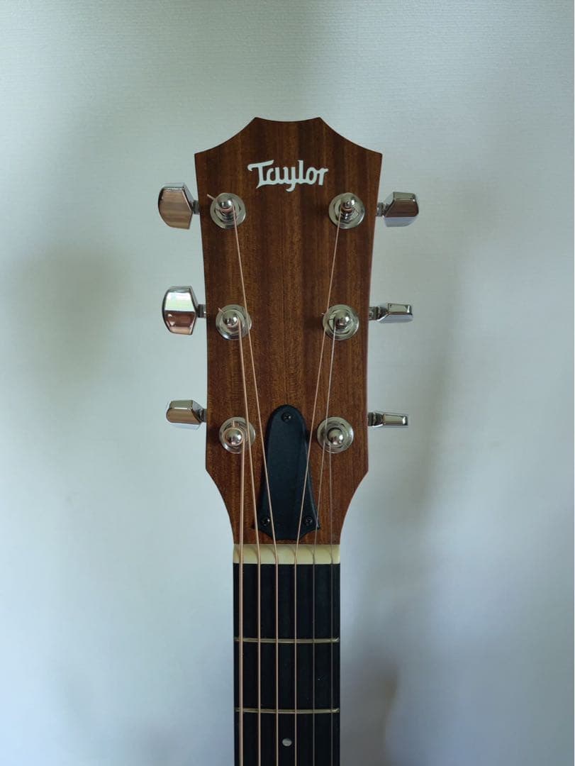 Taylor Academy 10e テイラー アカデミー エレアコ