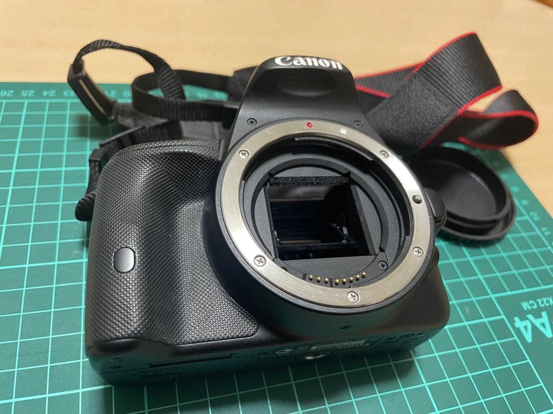 Canon EOS Kiss X7 ダブルズーム