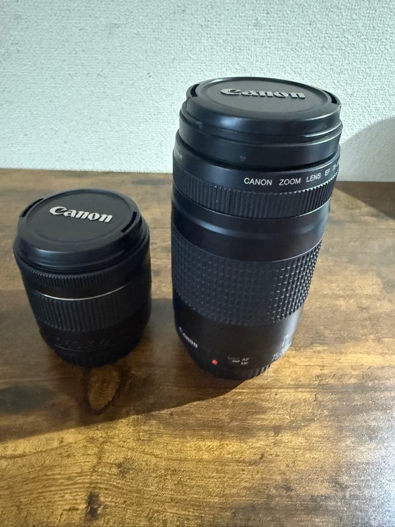 canon kiss x10望遠レンズセット