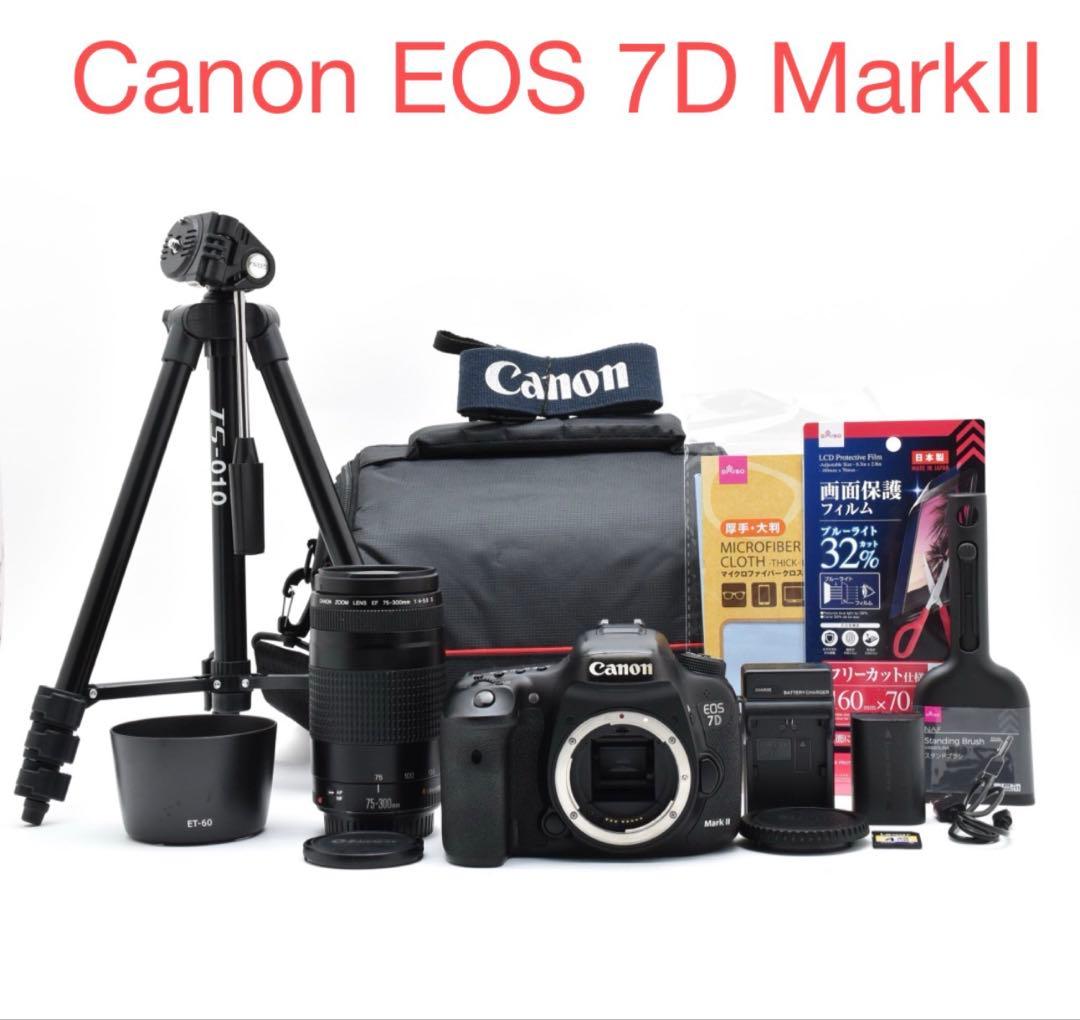 Canon EOS 7D MarkⅡ /EF 75-300mm F4-5.6II
