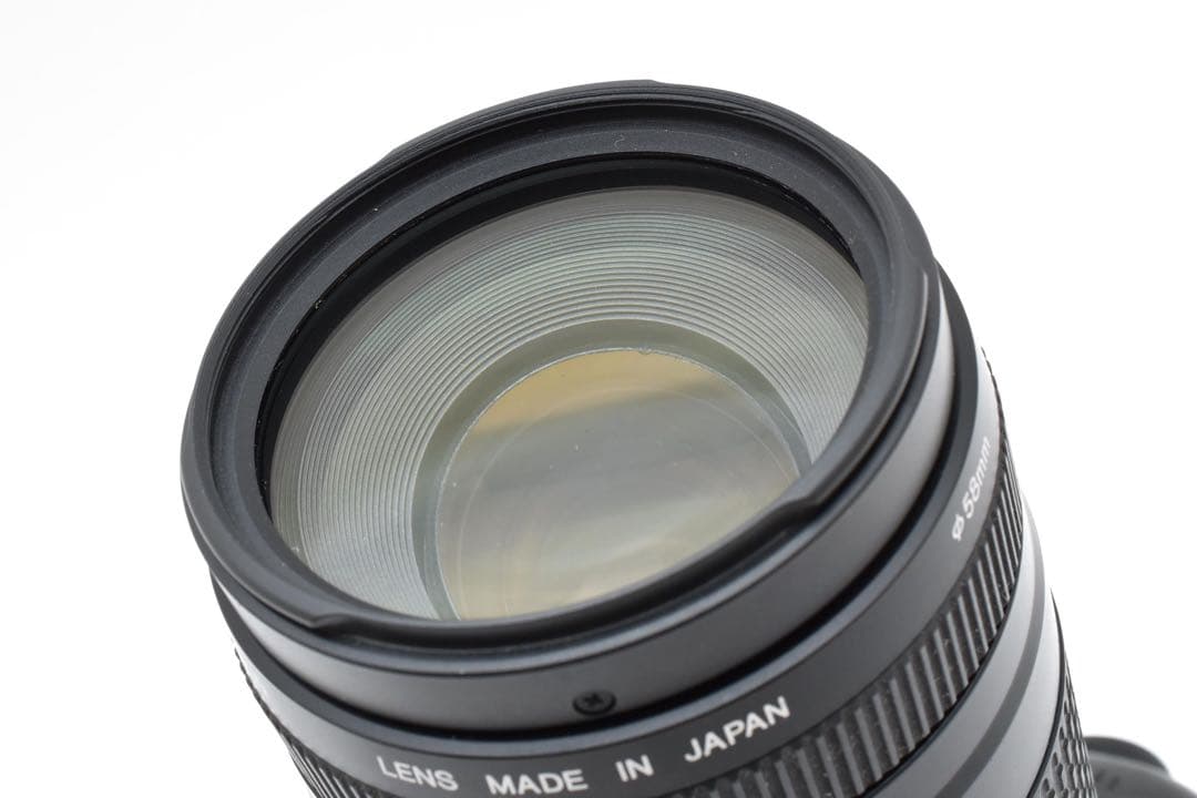 Canon EOS 7D MarkⅡ /EF 75-300mm F4-5.6II