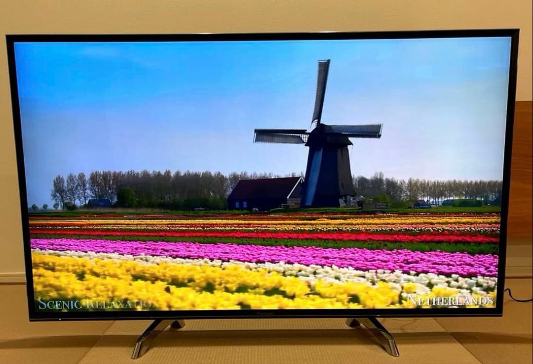 Panasonic 49型 4K液晶テレビ YouTube Netflix内蔵