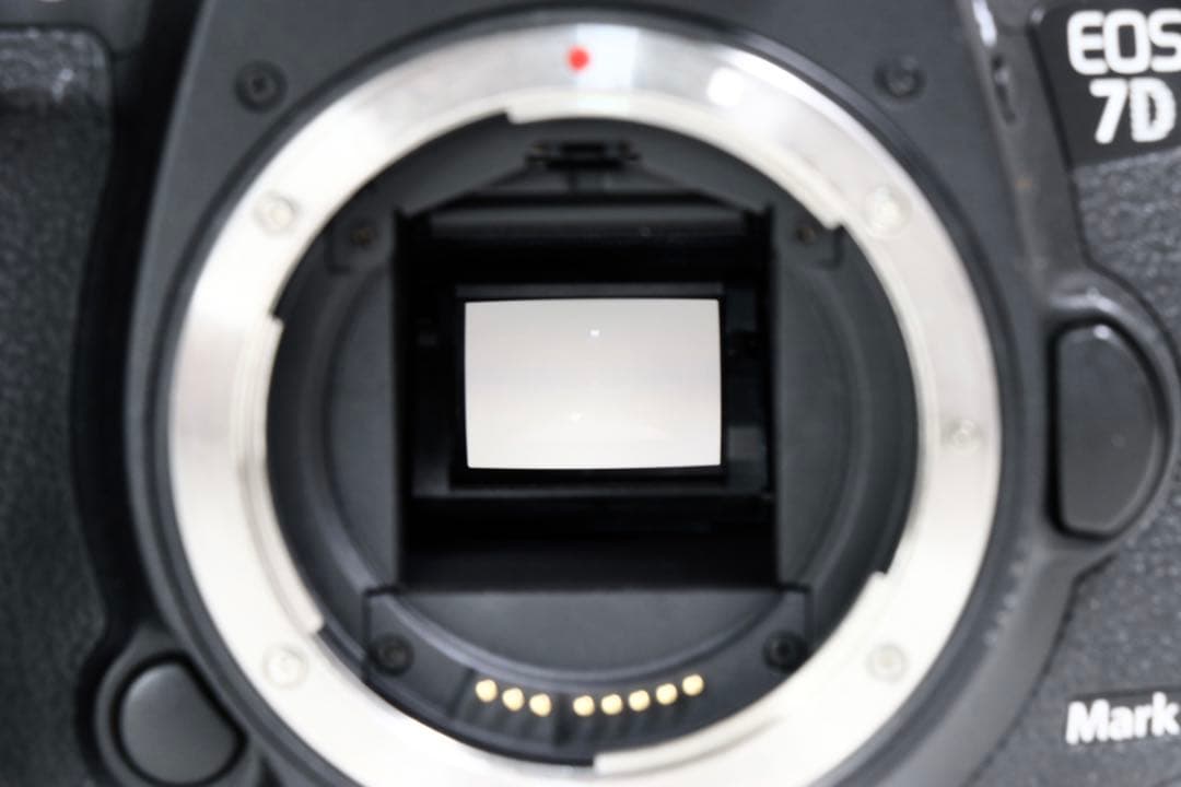 キャノン Canon EOS 7D Mark Ⅱ + BG-E16
