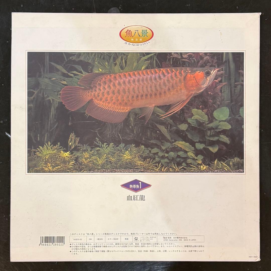 NEC 魚八景 SH3070-00 ディスク 熱帯魚1 血紅龍
