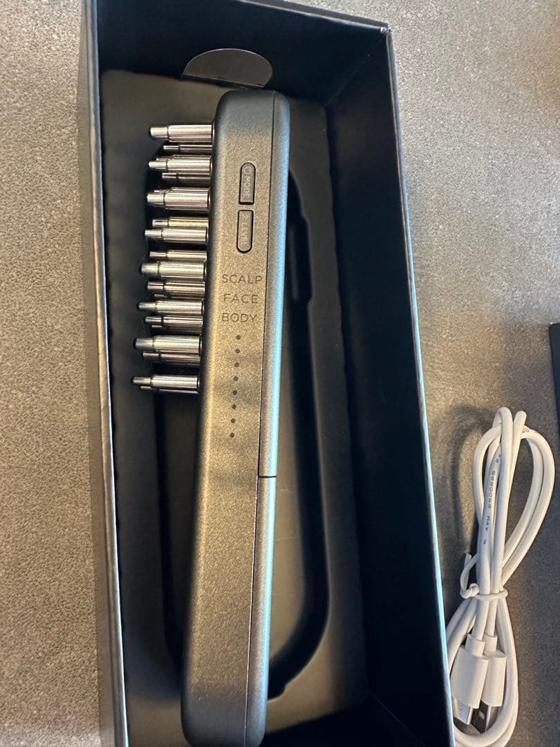 最終冬セール美品SALONIA サロニア EMS リフトブラシリフトアップEMS