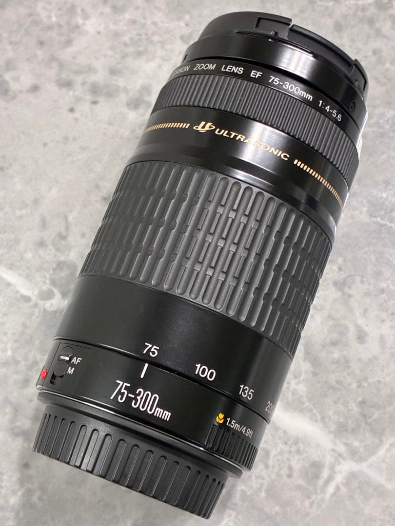 ⭐️美品⭐️Canon EF 75-300mm F/4-5.6 USM