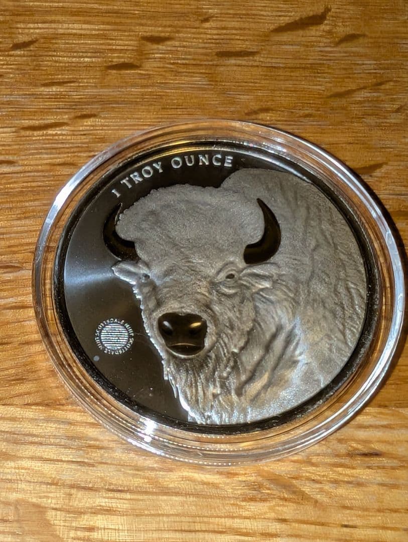 バッファローガール　銀貨