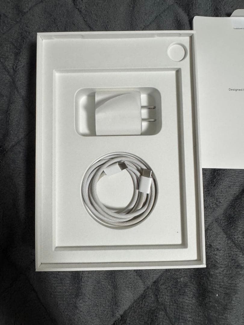 iPad mini Wi-Fiモデル256