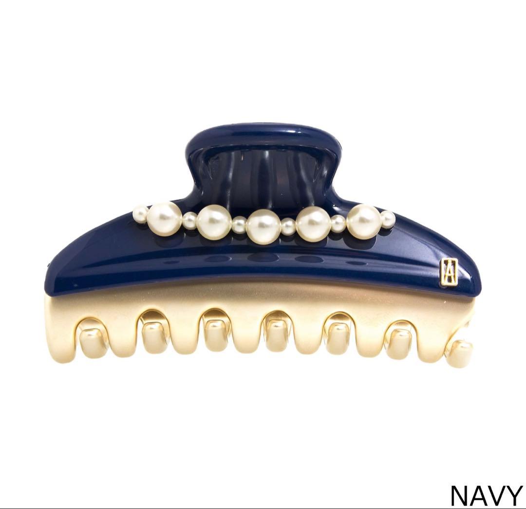 【即日発送・激レア品】ALEXANDRE DE PARIS ヘアクリップ