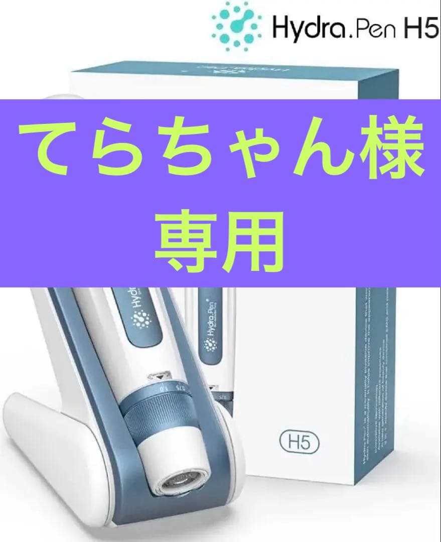 Hydra.Pen H5 ハイドラペン h5 EMS付き超美品　美顔器