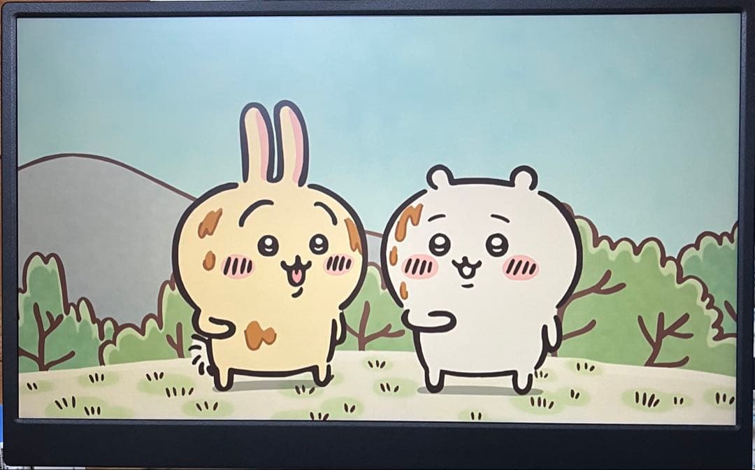 【試用のみ・ほぼ新品】15.6インチ ポータブルモニター 薄型・軽量