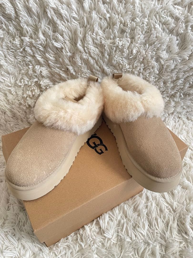 UGG Tazzelleタゼル　24cm 新品未使用⑅◡̈⃝*snidelコラボ