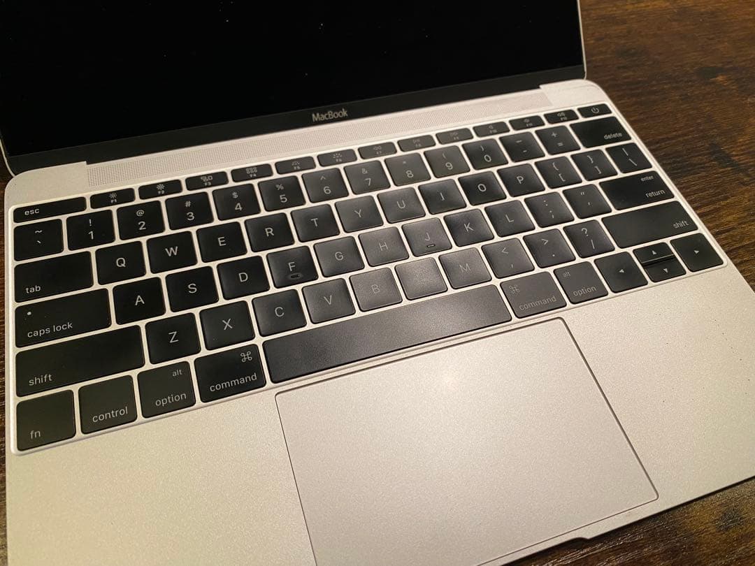 [ジャンク]Apple MacBook A1534 2016製 本体のみ