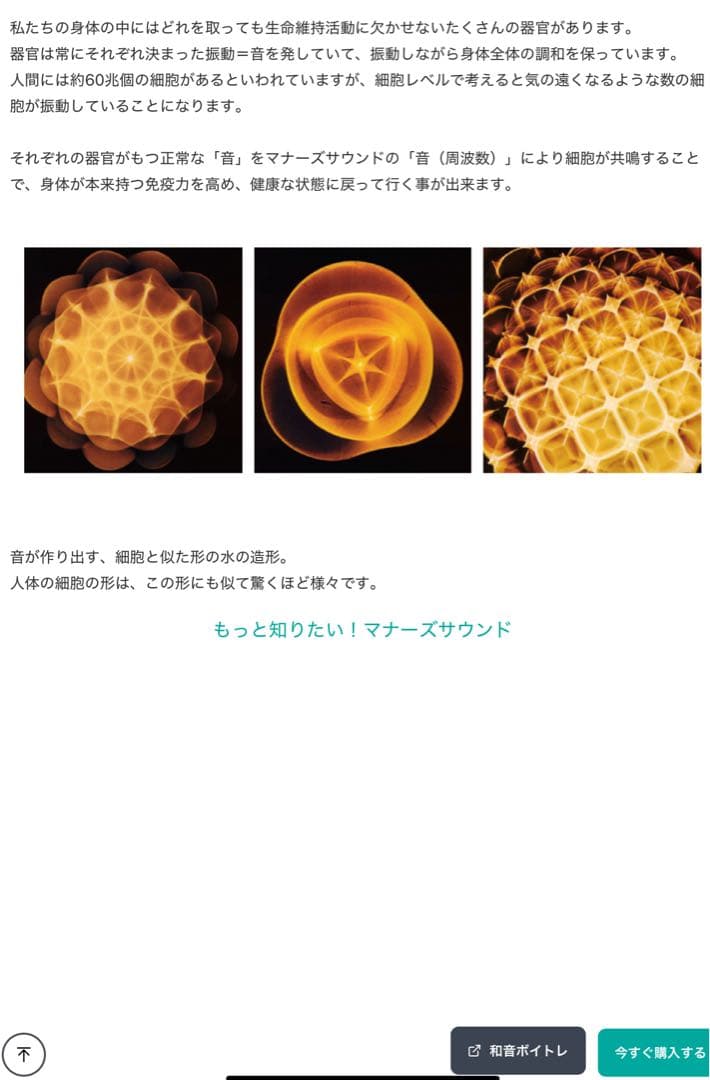 【限定コラボ】Perfect 10 マナーズサウンド　物部彩花