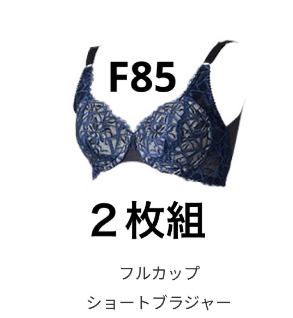 マルコ　カーヴィシャス カレスフルカップショートブラジャー補正下着F85 ２枚組