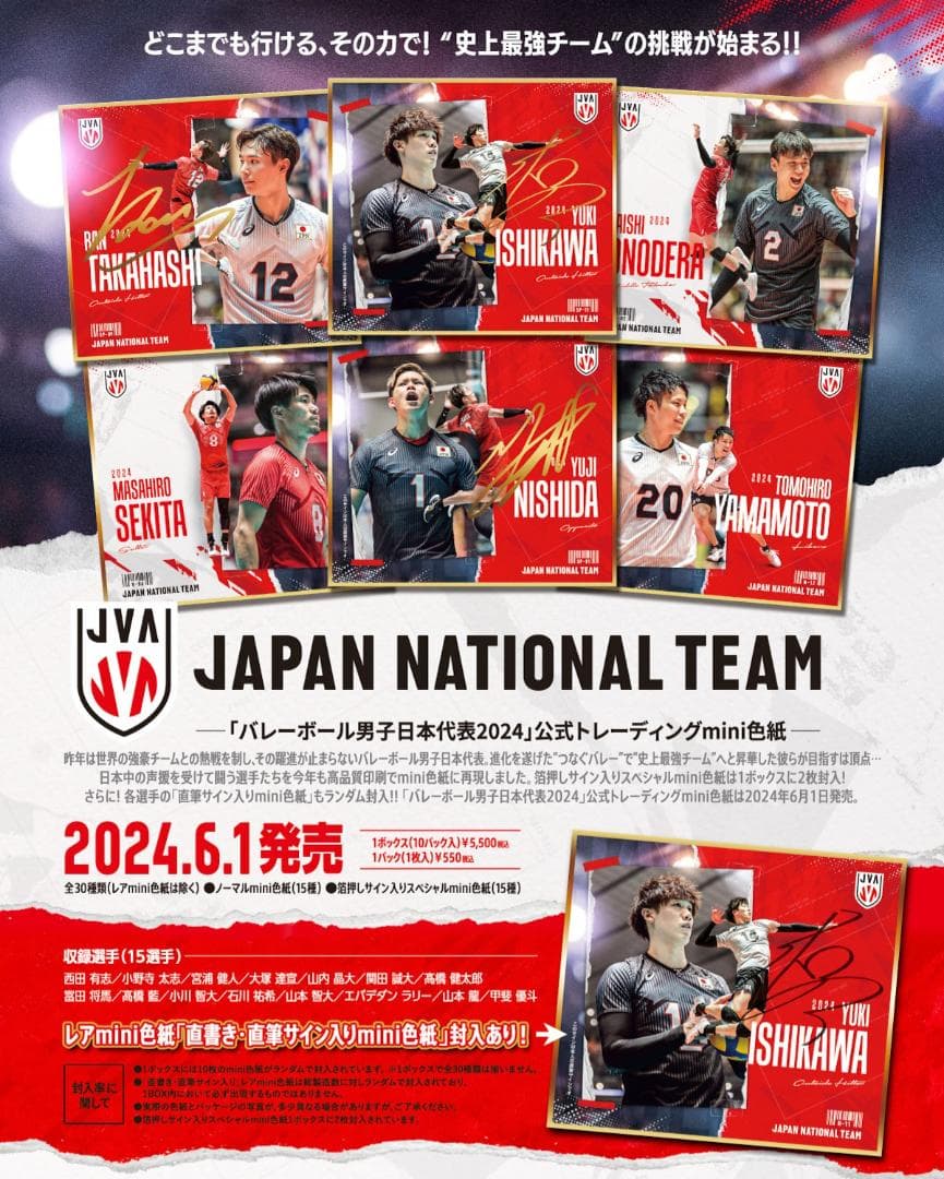 バレーボール男子日本代表2024 公式トレーディングmini色紙