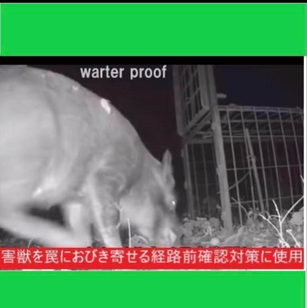 スマホ連動 ソーラー トレイルカメラ 256gbMicroSdサービス！