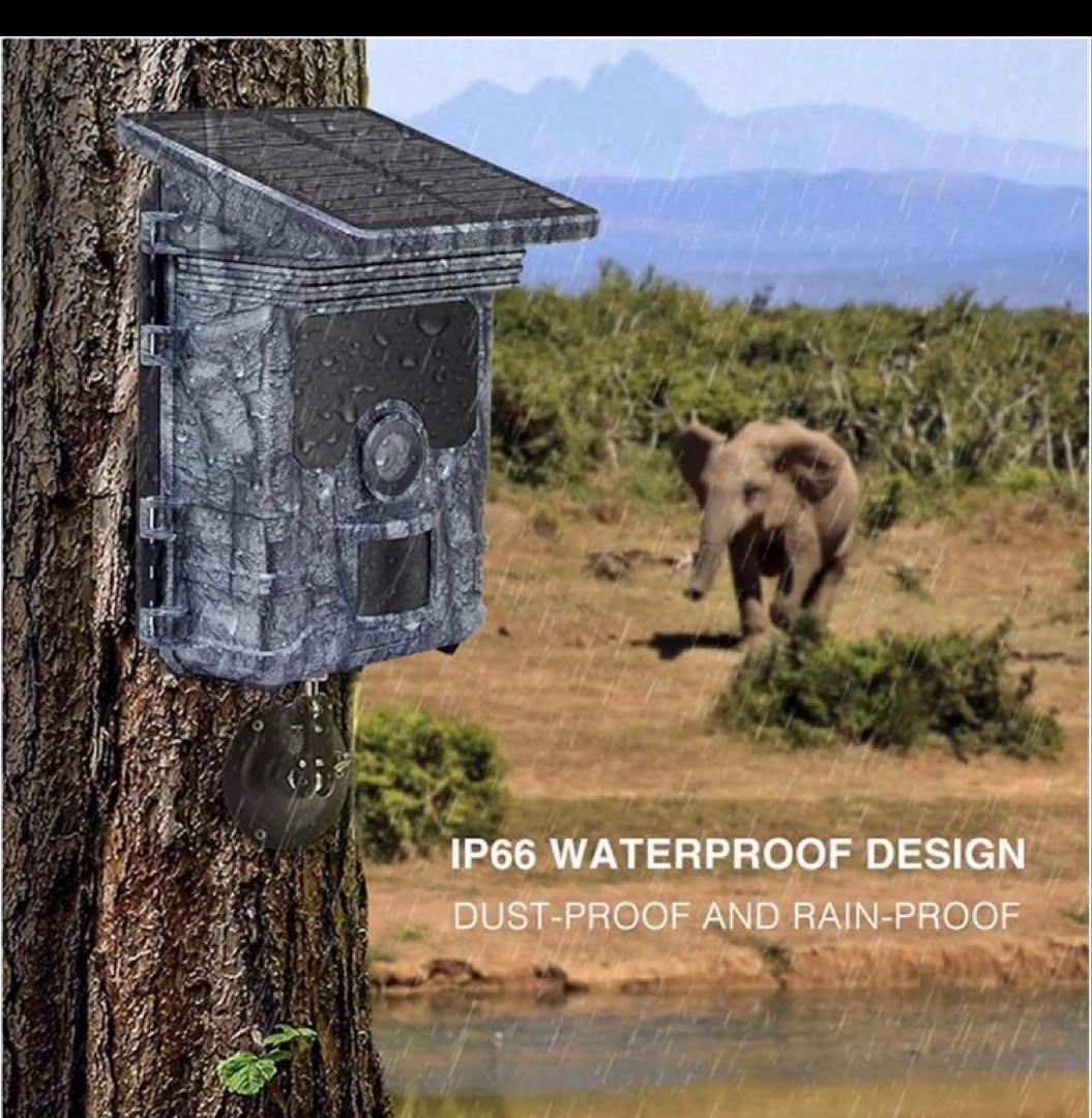 スマホ連動 ソーラー トレイルカメラ 256gbMicroSdサービス！