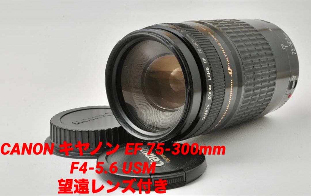 Canon EOS KISS X9 レンズキット