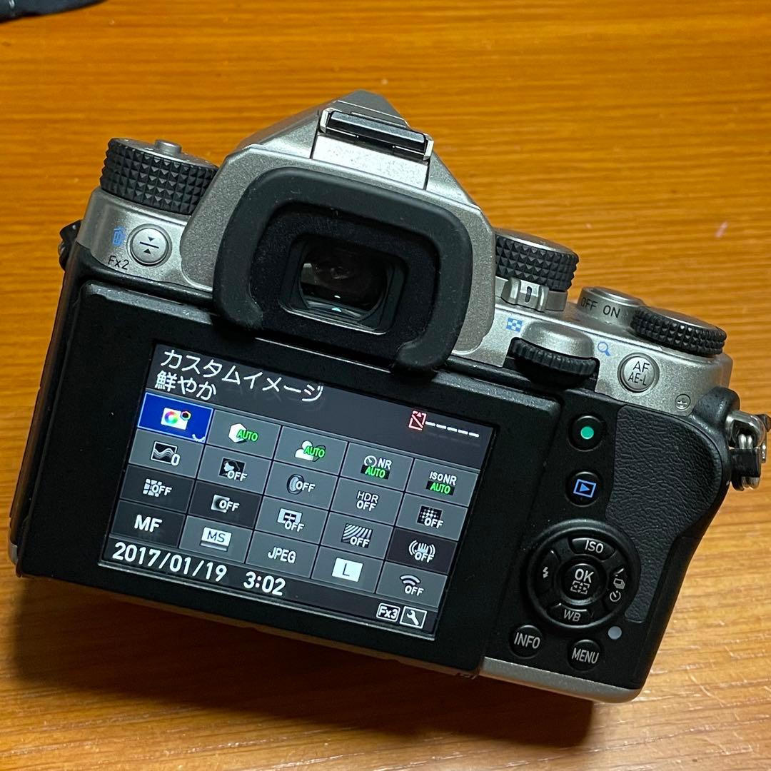 ペンタックス PENTAX KP シルバー ボディ　使用少ない美品　オマケ付