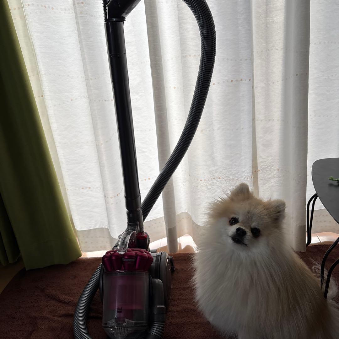 Dyson DC26 キャニスター掃除機 本体➕すきまノズル