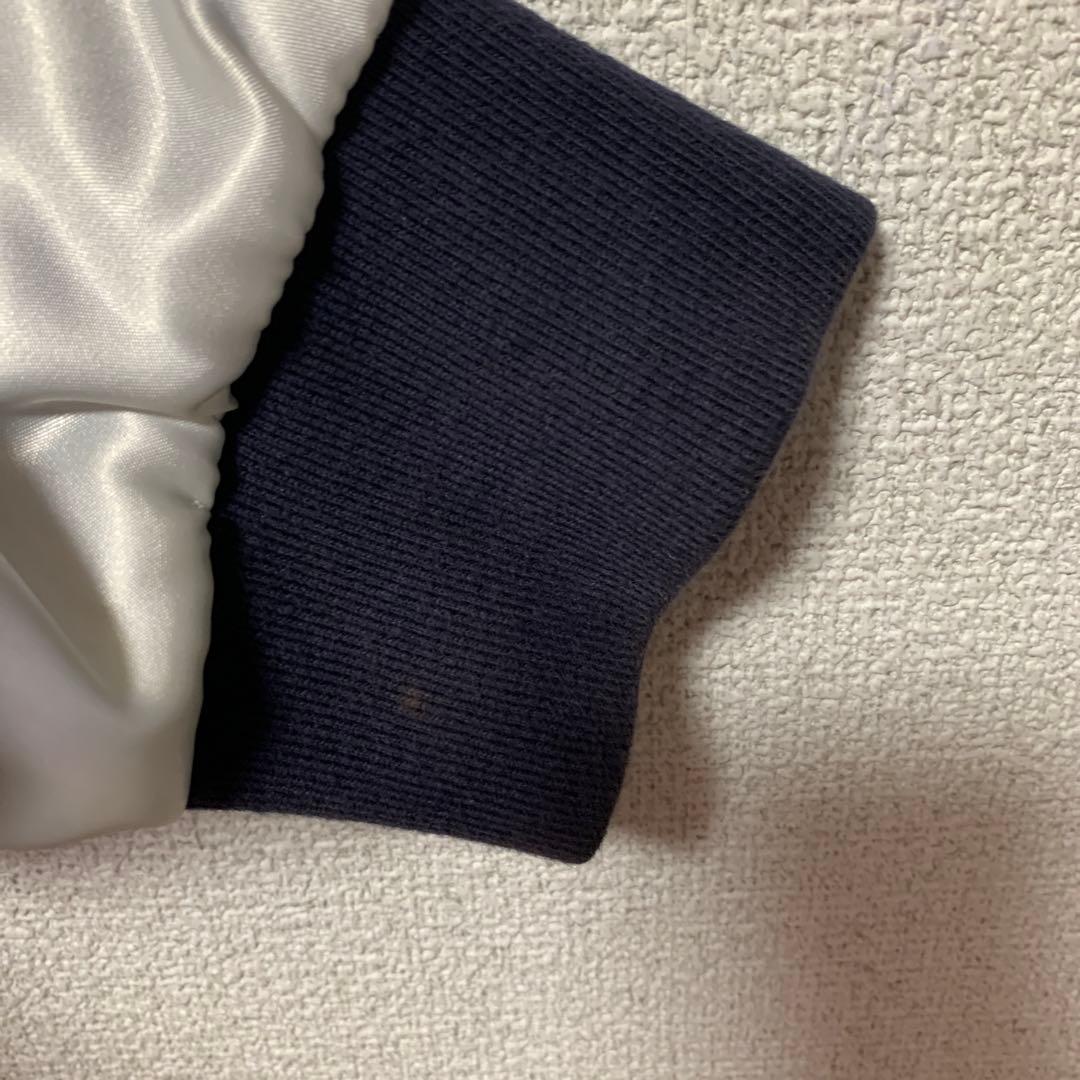 ピーピーエフエム Rey Mysterio ワールドレスリングエンターテイメント