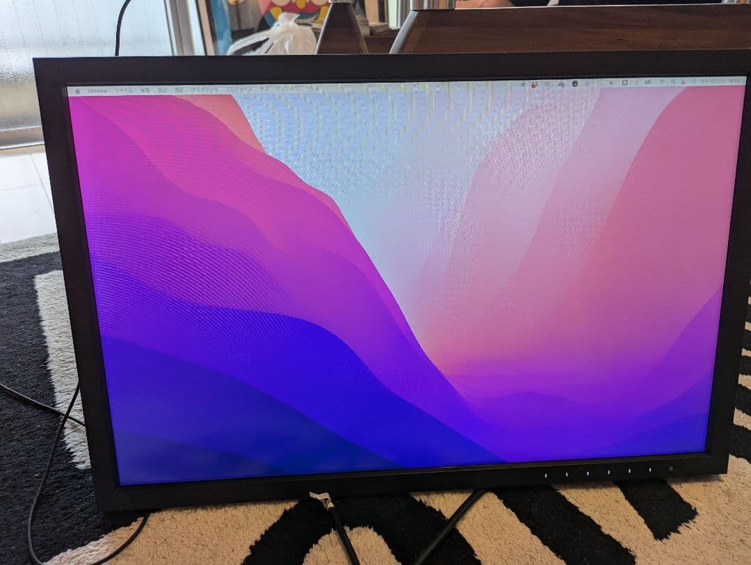 ☆動作確認済み　EIZO ColorEdge CS2410