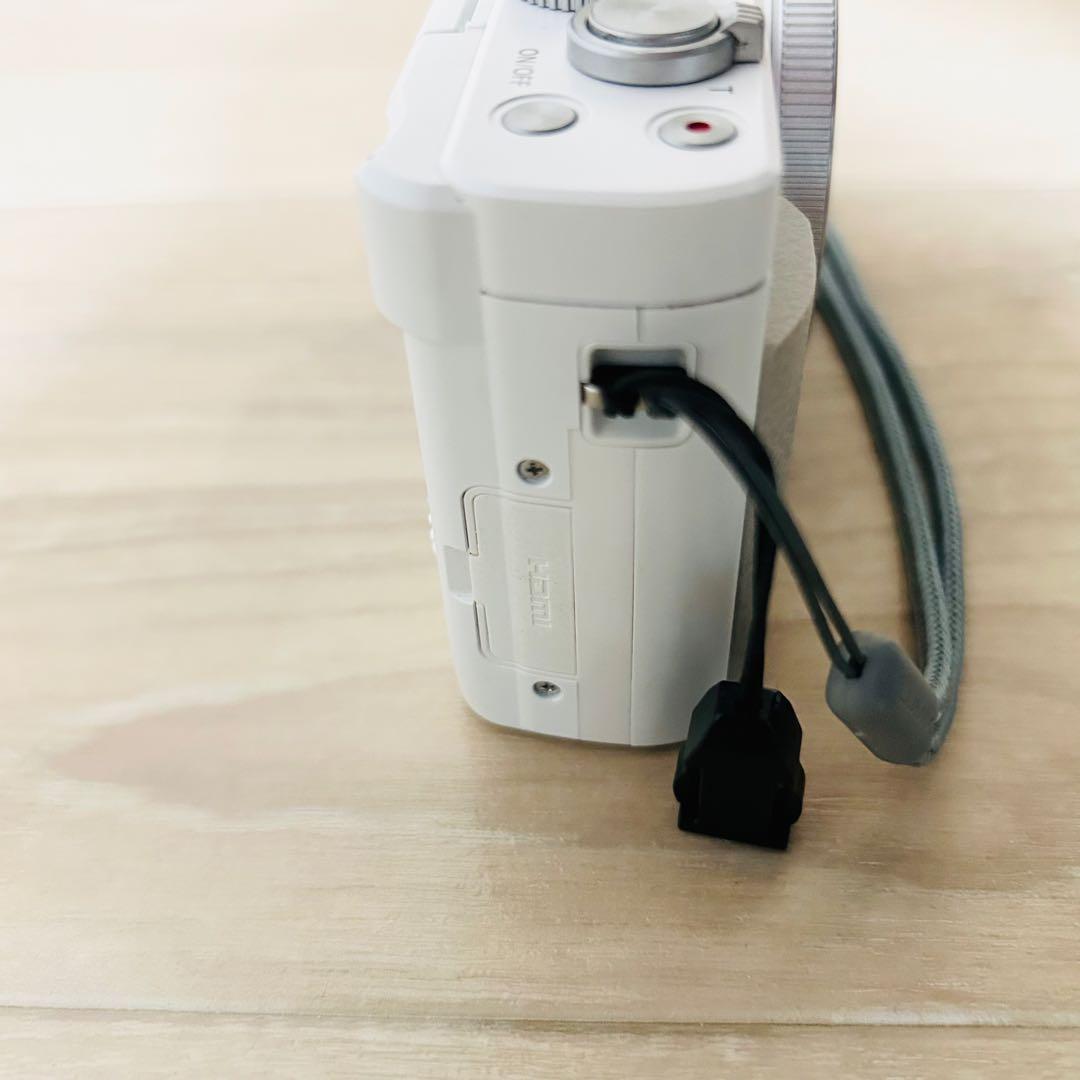 【美品】Panasonic DC-TZ95D コンパクトデジタルカメラ 動作OK