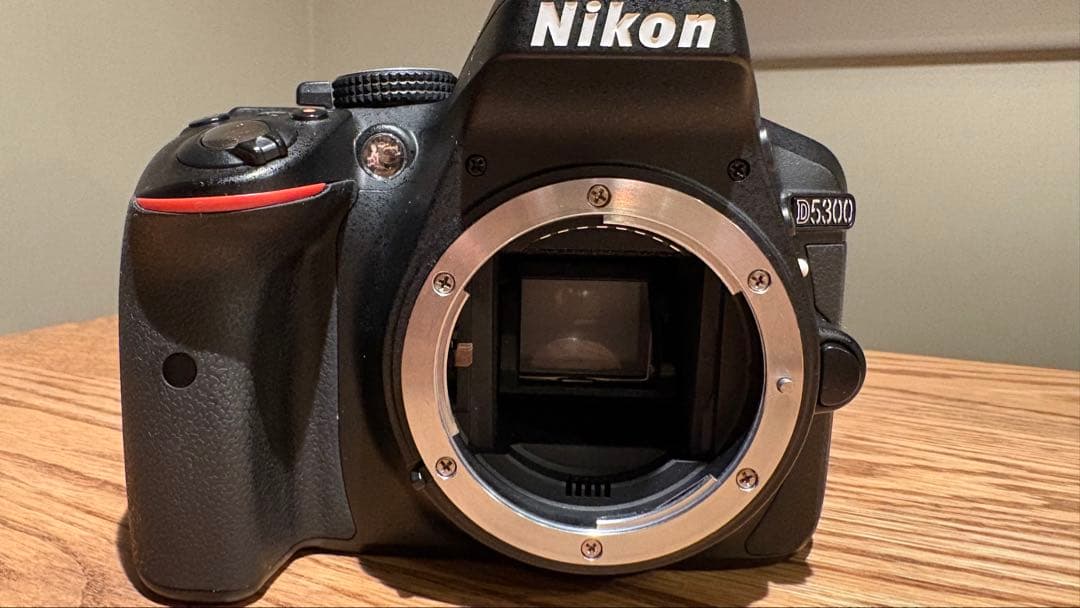Nikon D5300 一眼レフ 単焦点レンズセット　ショット数1723回