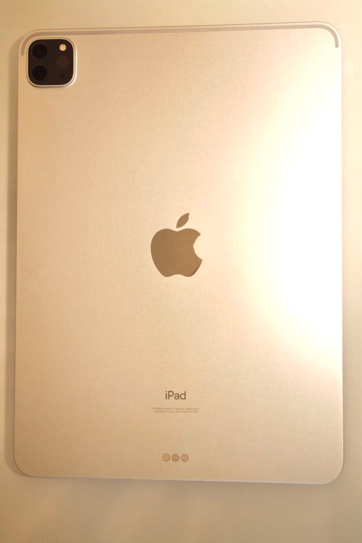 【海賊さん専用】iPad Pro 11第2世代 + Apple Pencil