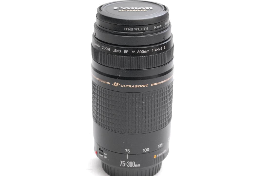 CANON ZOOM LENS EF 75-300mm 1:4-5.6Ⅱ USM