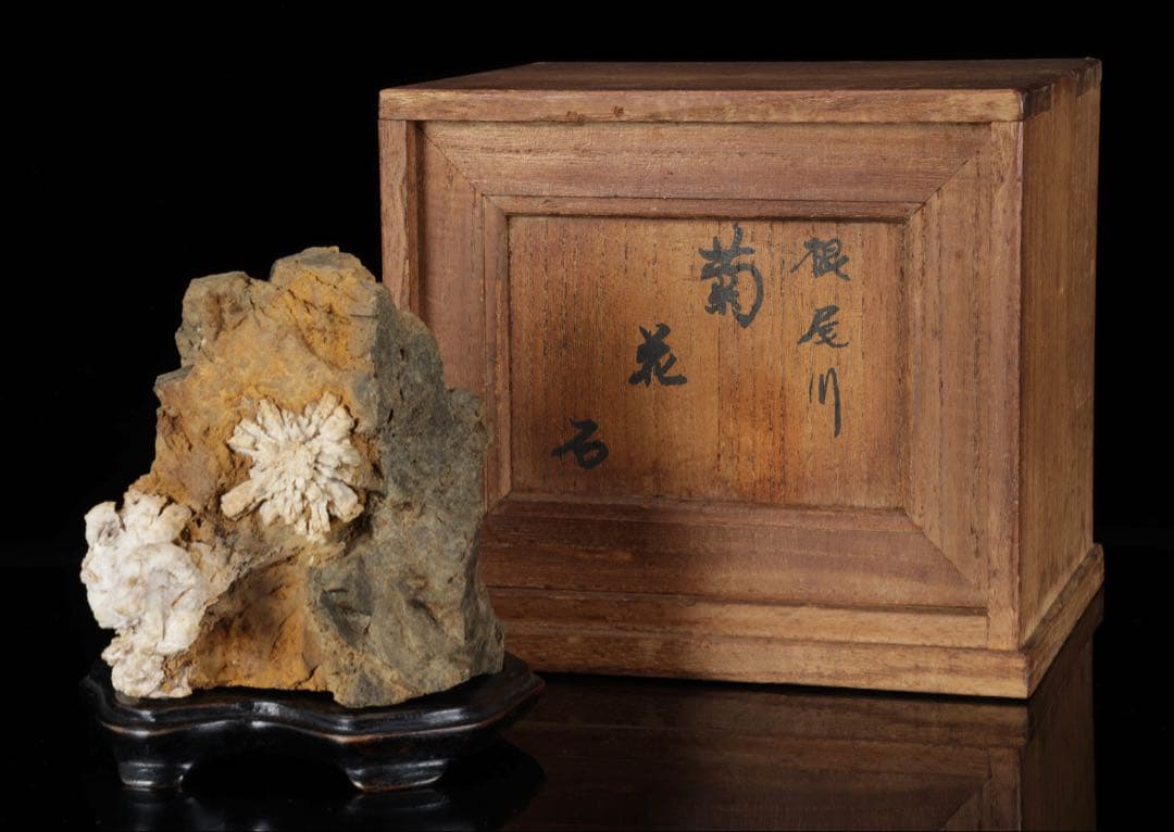 は*よ様 根尾川 菊花石 白菊 紋石 台座 共箱付 1.2kg 鑑賞石 原石 盆