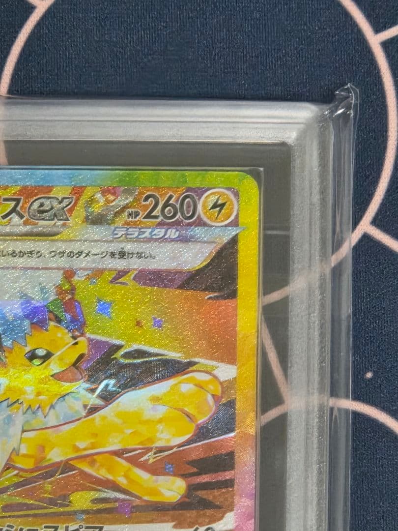 【ARS10+】サンダースex SAR テラスタルフェスex