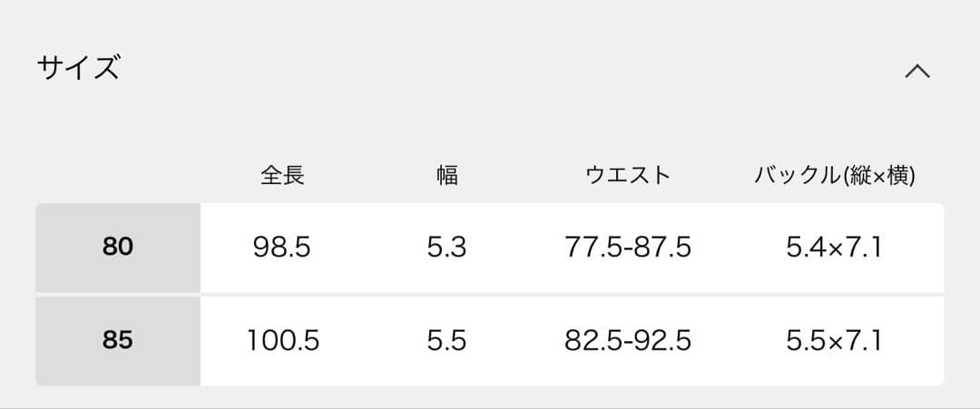 PUNTOVITAプントヴィータ CONCHOベルトコンチョ 85