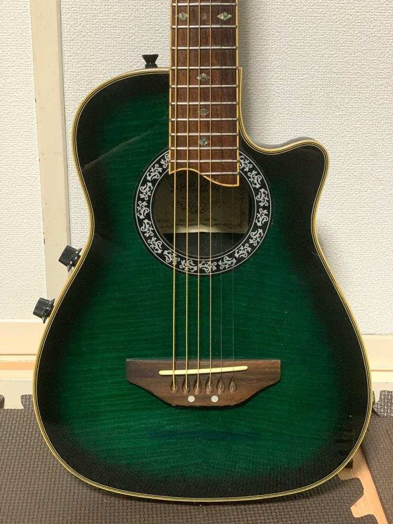 Sepia Crue CUSTOM MEA 350BLS ミニ エレアコ