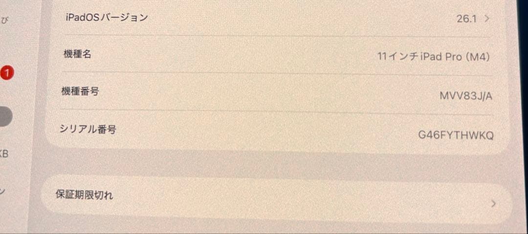 【yvngboi】 iPad Pro M4 11インチ wifiモデル