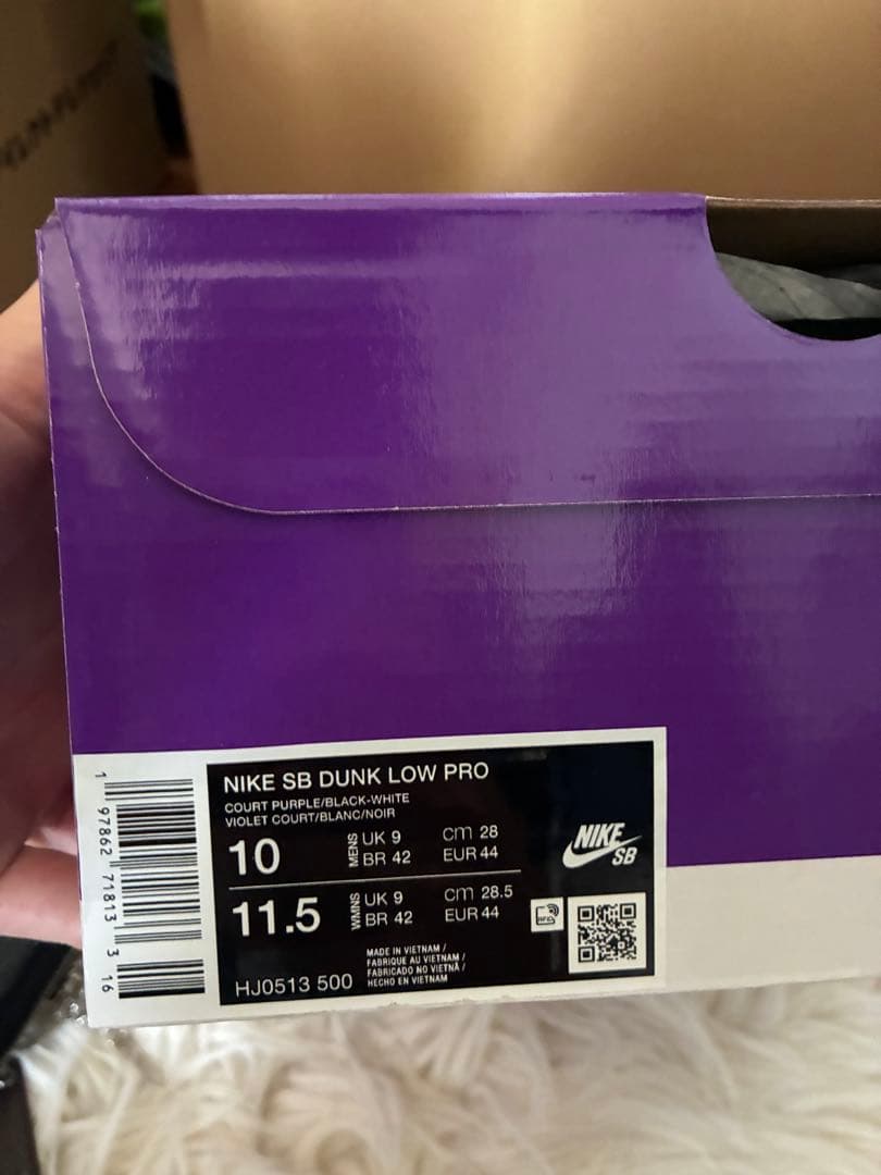 Hayley Wilson × Nike SB Dunk Low pro