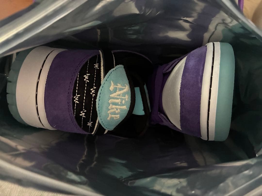 Hayley Wilson × Nike SB Dunk Low pro