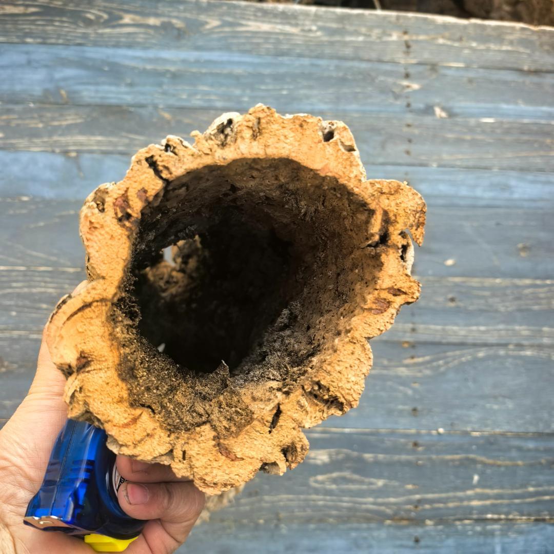 ポルトガル産 キャノンコルク コルク樹皮 コルク板　バージンコルク