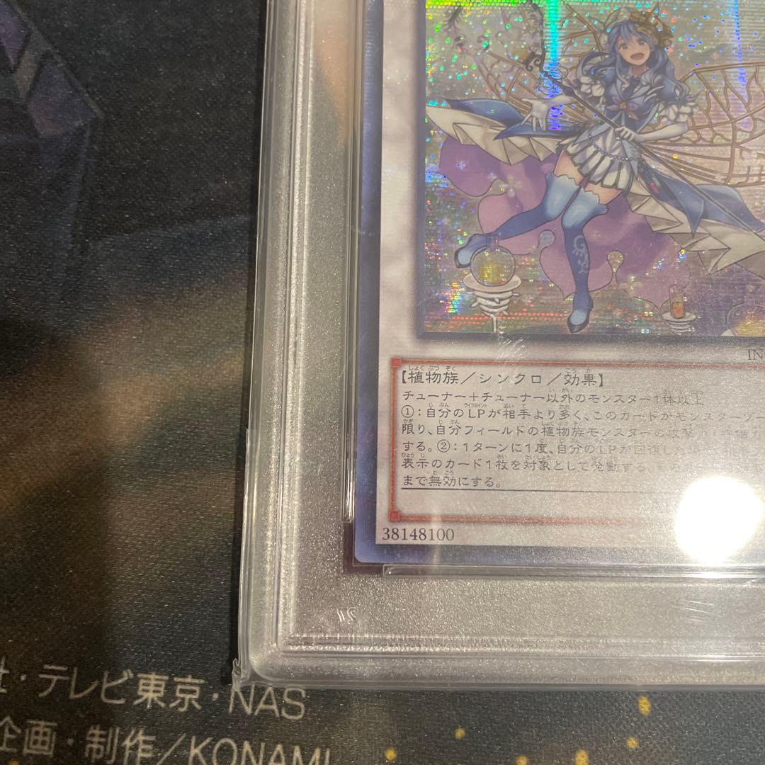 遊戯王　アロナセラフィーローズマリー　アジア　シークレット　PSA10