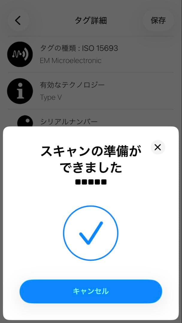 【美品】LOUIS VUITTON エピジッピーパースミニ財布M60152