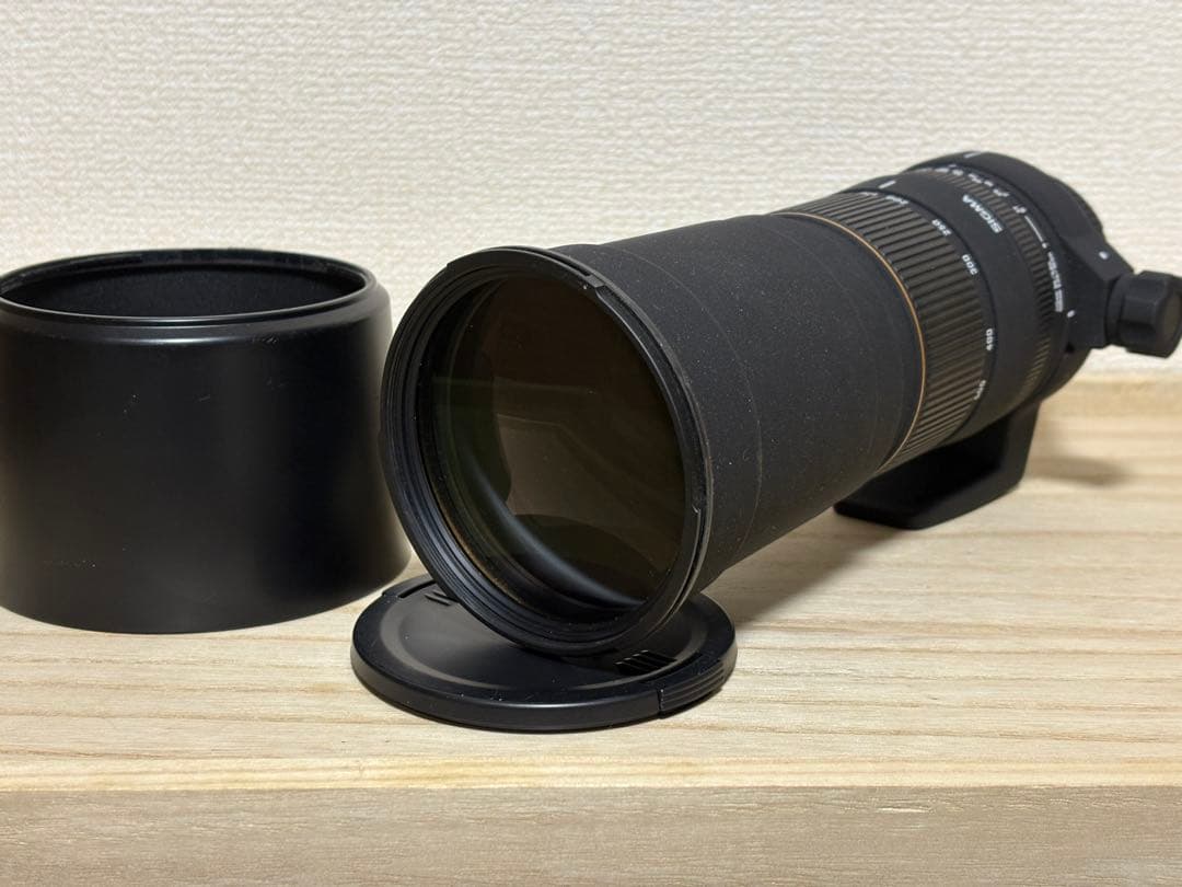 とと。　SIGMA(シグマ) 170-500㎜