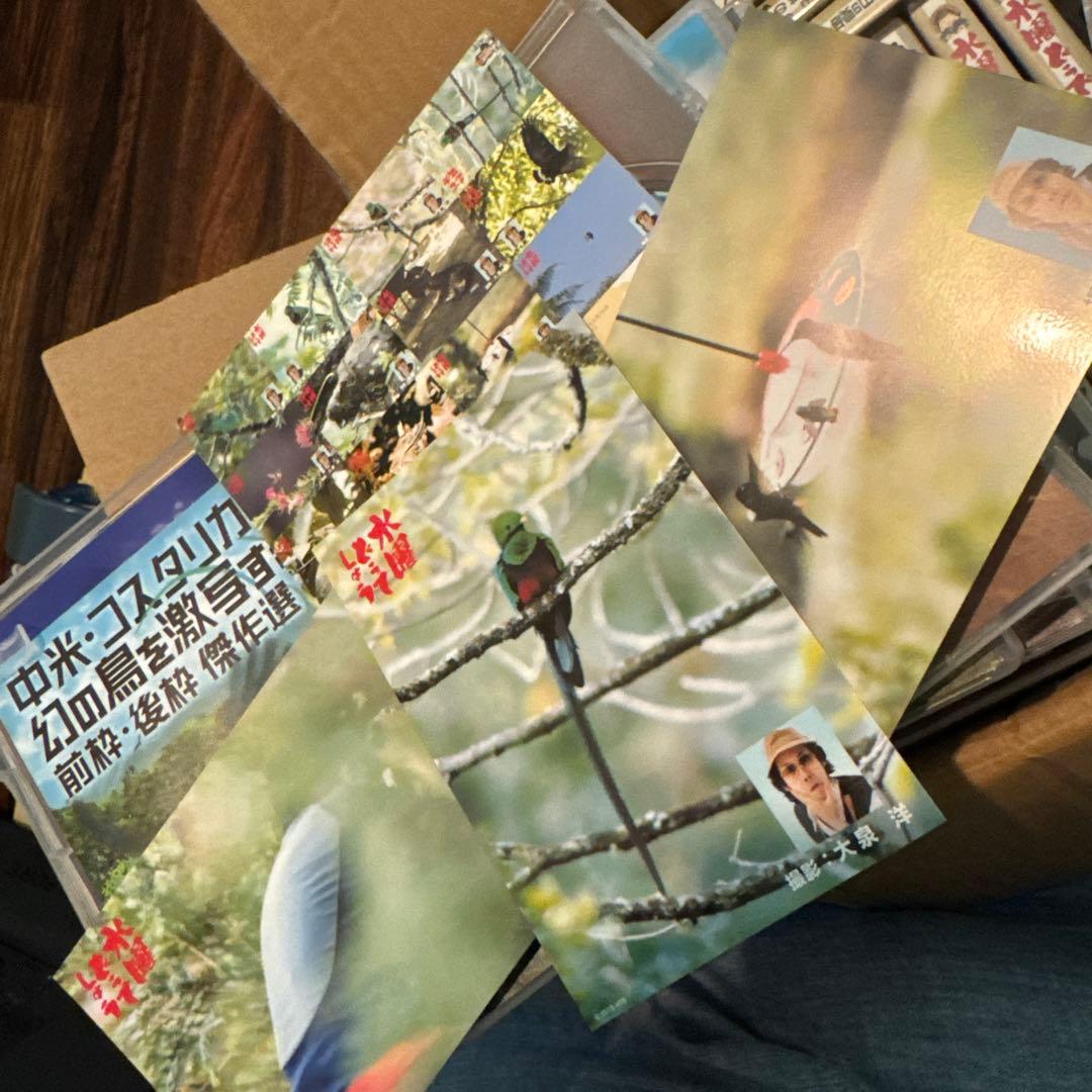 水曜どうでしょう ザ・ベスト DVDセット