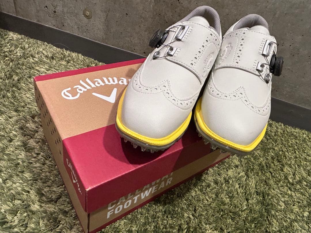 キャロウェイ ゴルフシューズ　新品　24.5cm