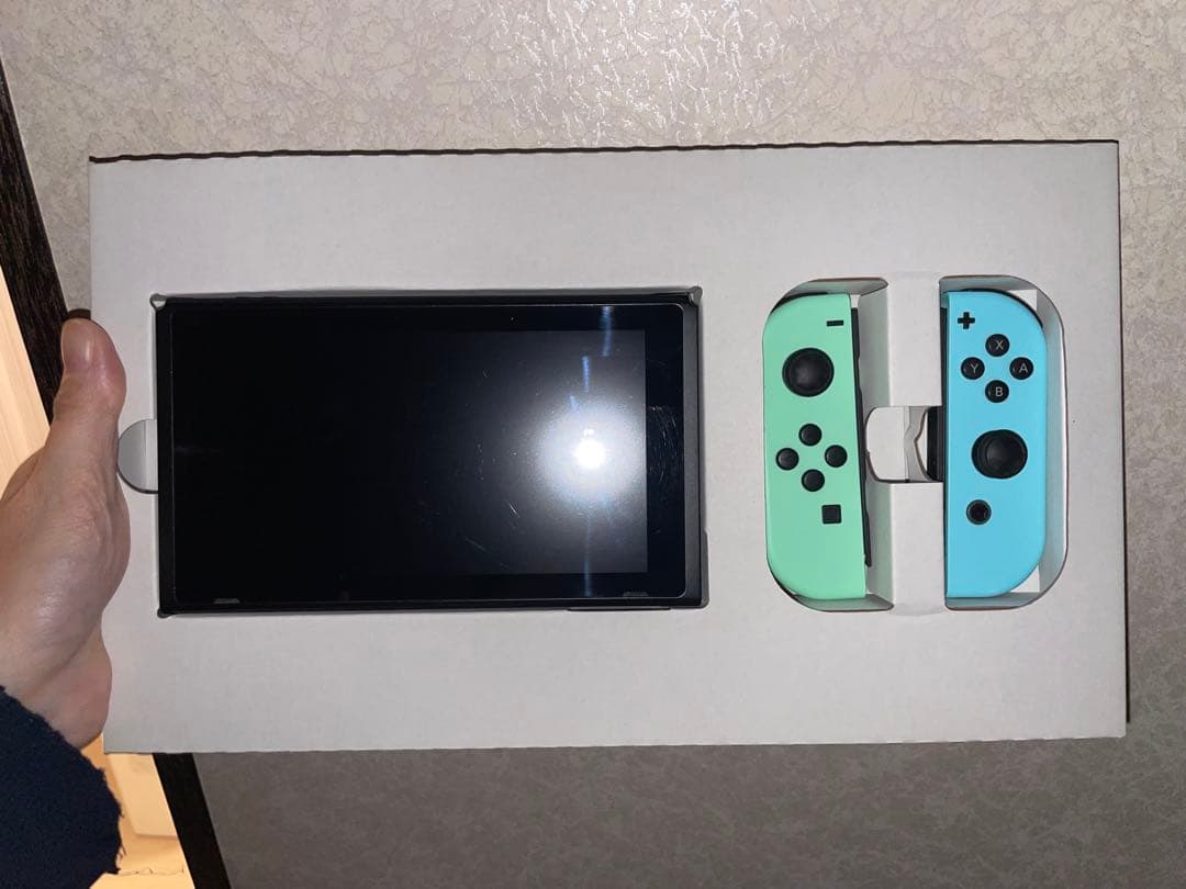 Nintendo Switch あつ森Ver. ケース&SDカード付き