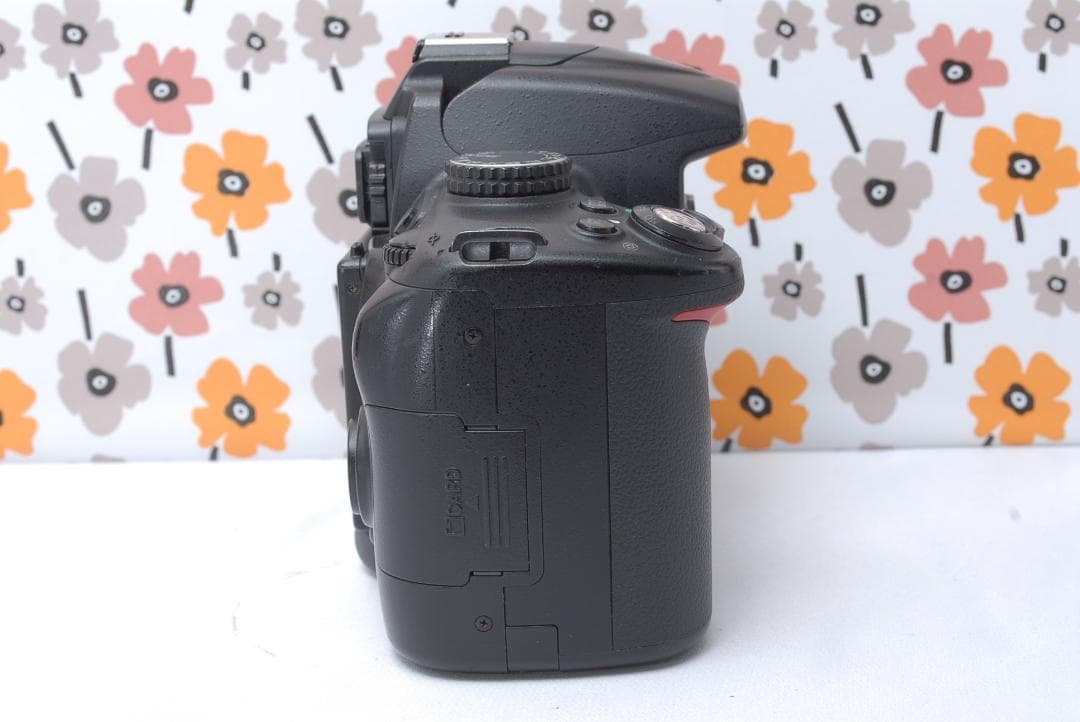 ❤Nikon D5000❤動画撮影OK❤イルミネーション撮影❤スマホ転送OK❤