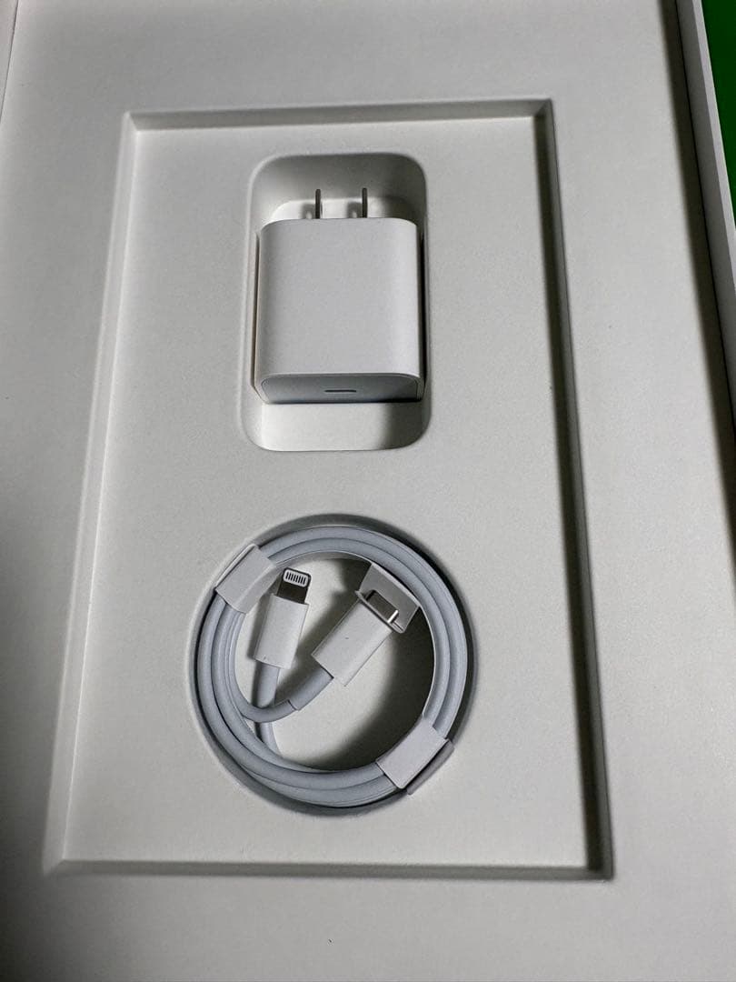 【セール】iPad 10.2インチ 第9世代 Wi-Fi 256GB シルバー