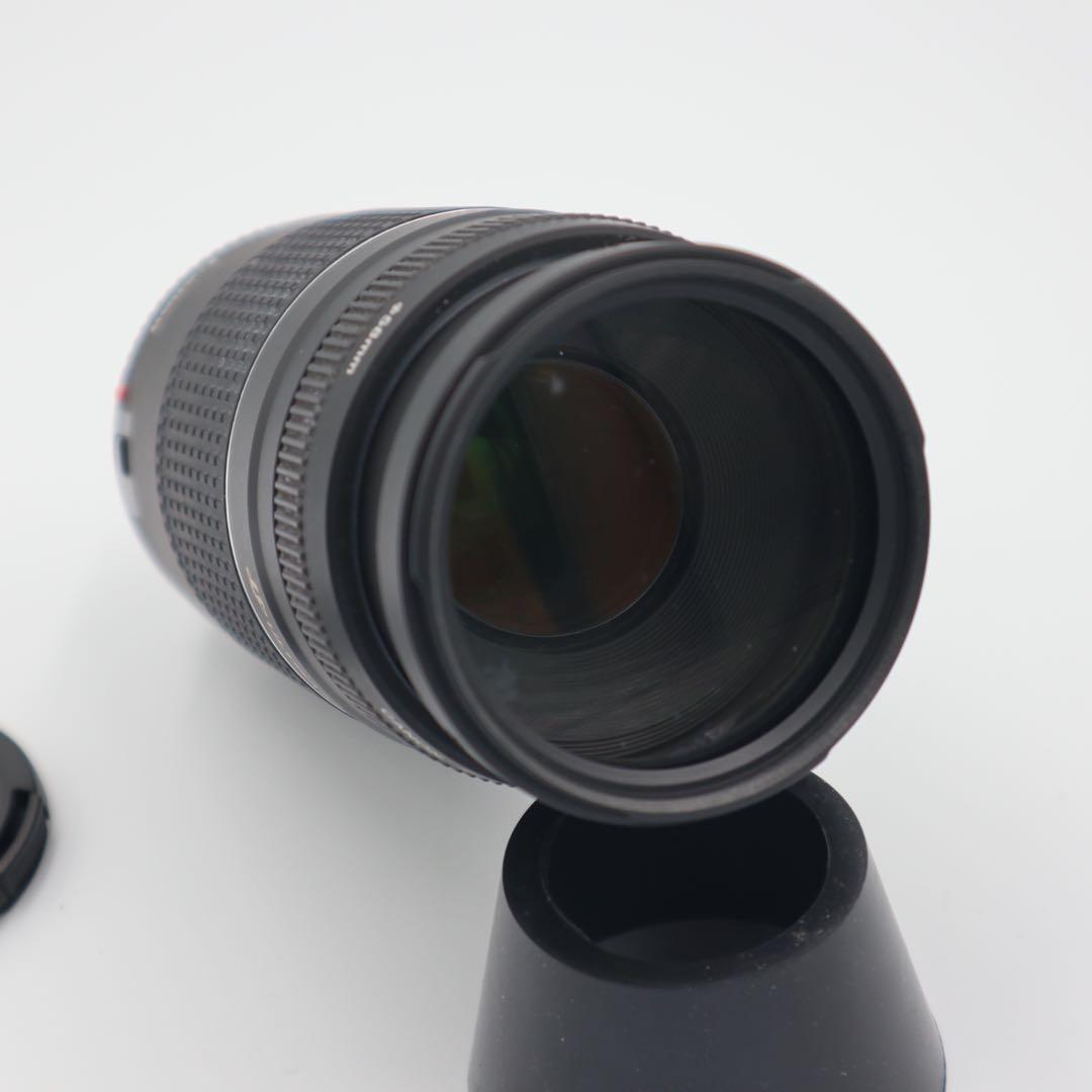 Canon EF 75-300mm F4-5.6 Ⅲ USM レンズ